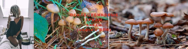 синтетический гашиш Кинешма
