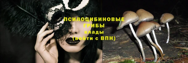 СК Киренск