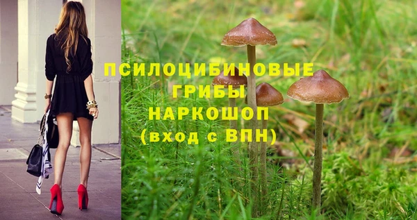 СК Киренск