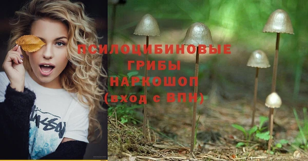 дурь Киреевск