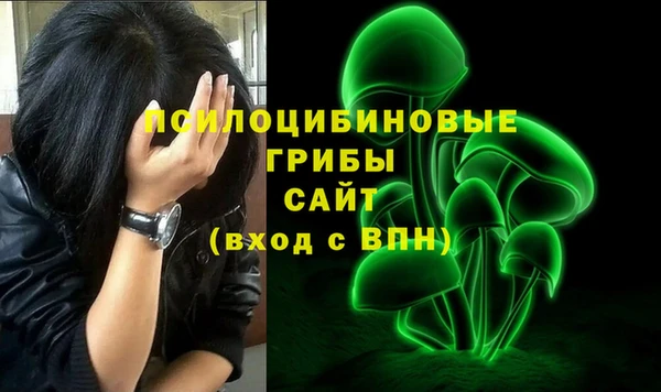 дурь Киреевск