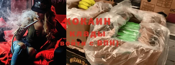 дурь Киреевск