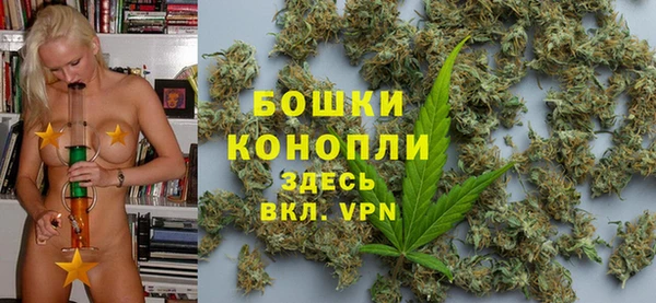 дурь Киреевск