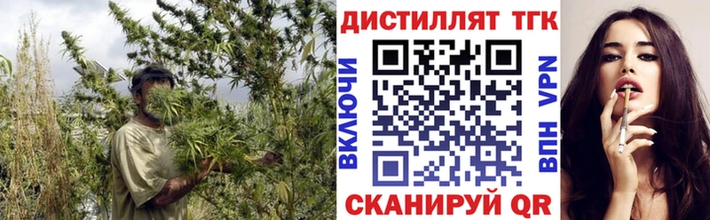Купить где  Эртиль  ТГК THC oil 